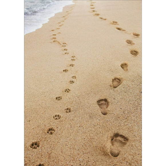 Avanti Press Human And Dog Footprints Pet Sympathy Card