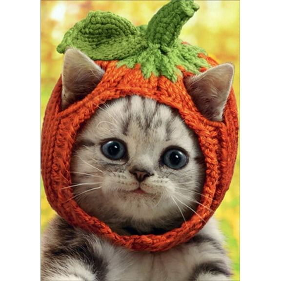 Avanti Press Kitten Wearing Knit Pumpkin Hat Cute Halloween Card