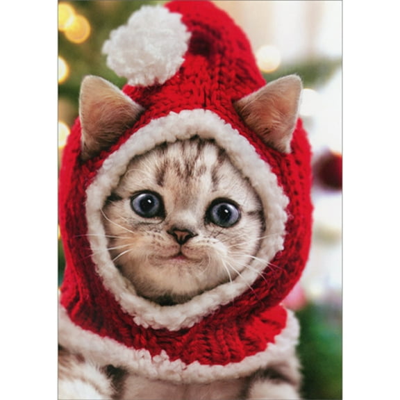 Avanti Press Kitten Wearing Red Knit Santa Hat Cute Cat Christmas Card (1 card/1 envelope)
