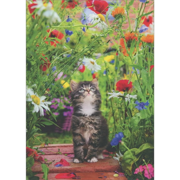 Avanti Press Kitten on Red Brick Path Looking Up at Wildflowers Canopy Blank Note Card