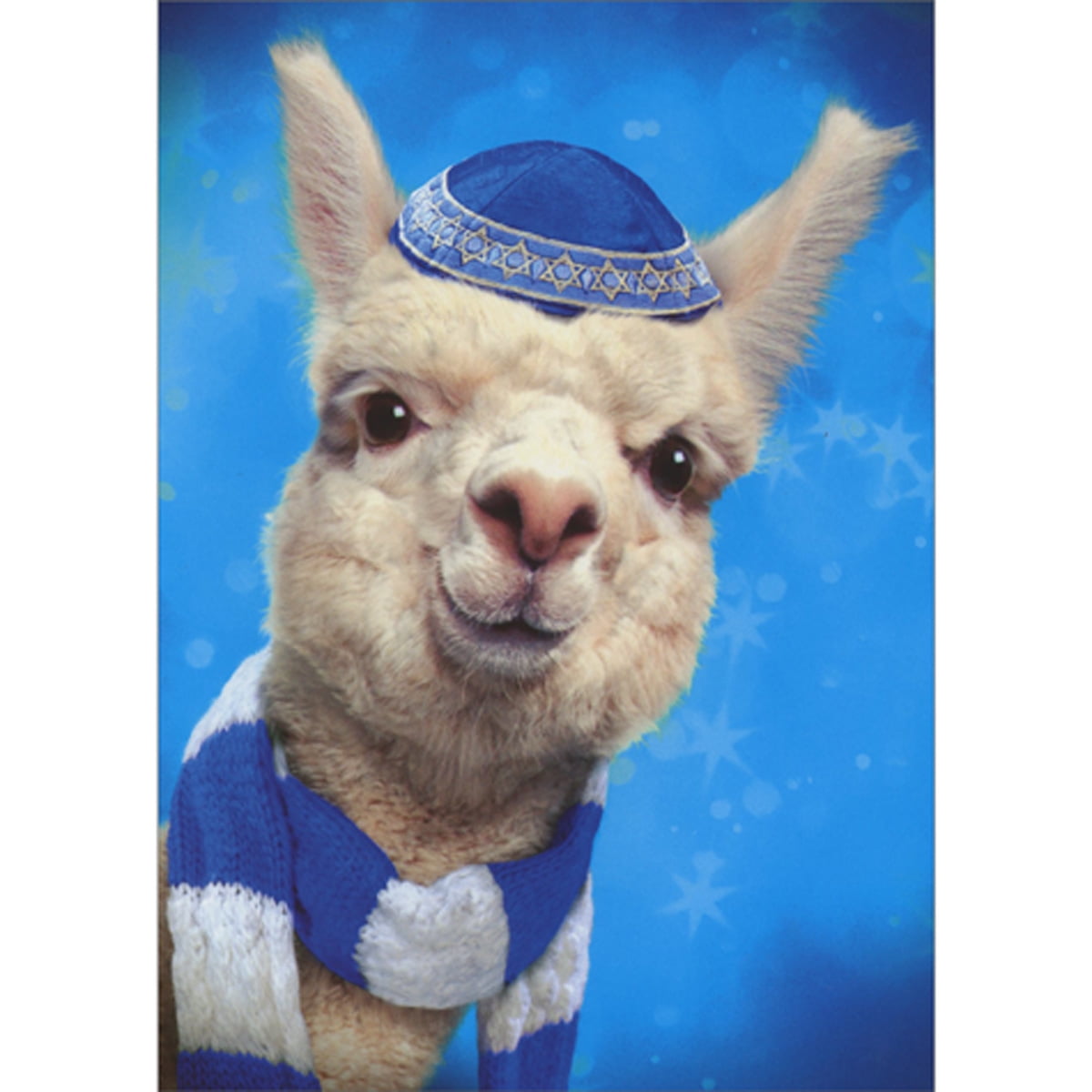 Avanti Press Llama Wearing Yarmulke and Blue and White Scarf Funny / Humorous Hanukkah Card