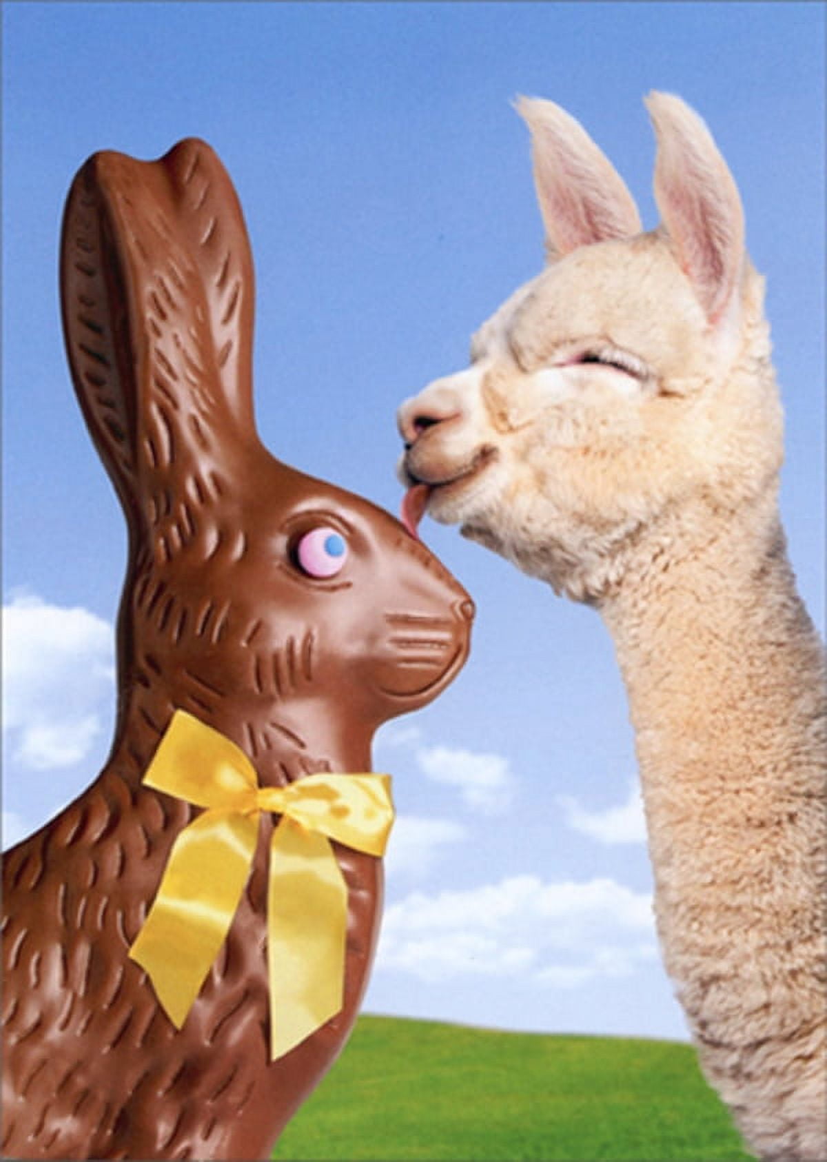Avanti Press Llama and Chocolate Bunny Funny / Humorous Easter Card
