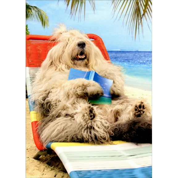 Avanti Press Lounging Sheep Dog on Beach Funny / Humorous Retirement Card
