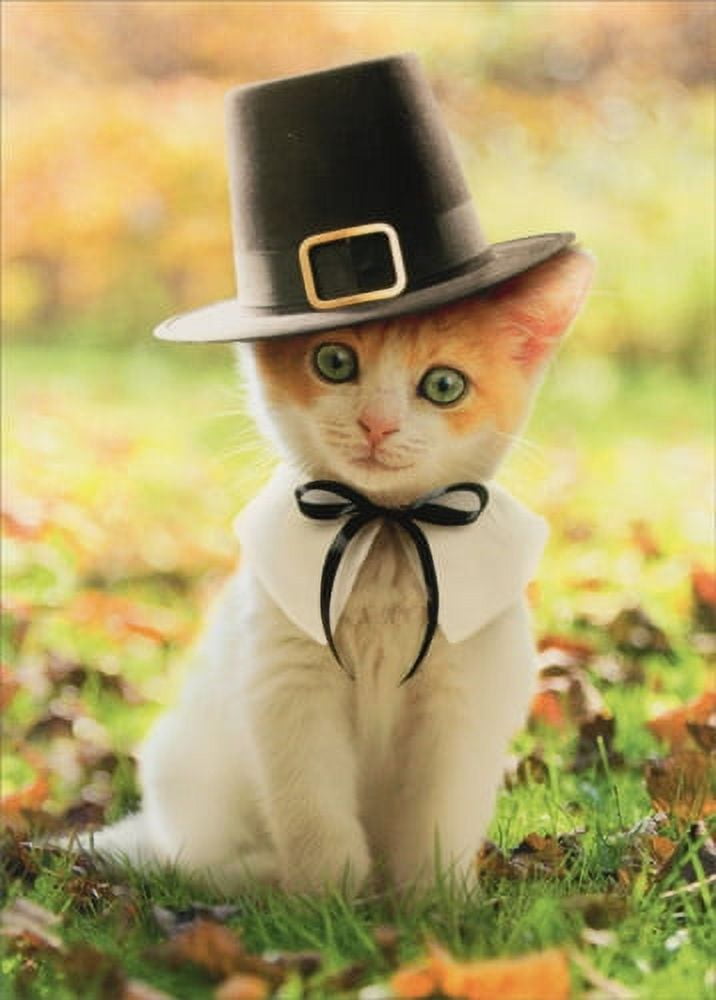 Avanti Press Pilgrim Cat Kitten Thanksgiving Card - Walmart.com