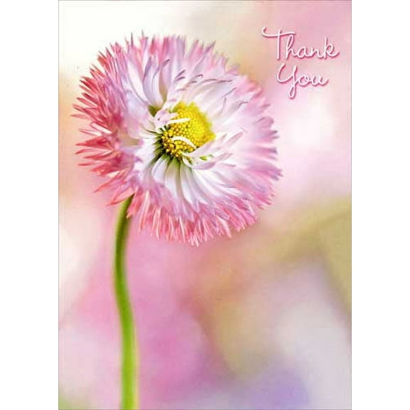 Avanti Press Pink Flower Mum Deluxe Matte Thank You Note Card