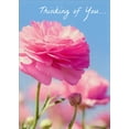 thumbnail image 1 of Avanti Press Pink Ranunculus Flower Deluxe Matte Support Card, 1 of 2