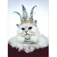 thumbnail image 1 of Avanti Press Princess Kitten Birthday Card, 1 of 2