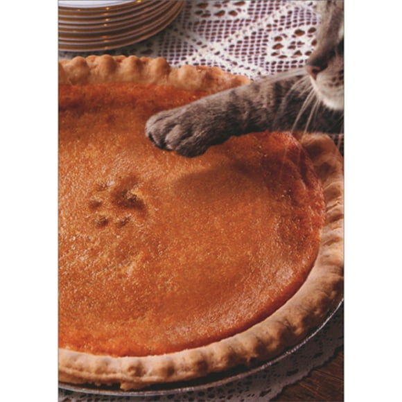 Avanti Press Pumpkin Pie with Cat Paw Print and Outstretched Paw Humorous / Funny Thanksgiving Card