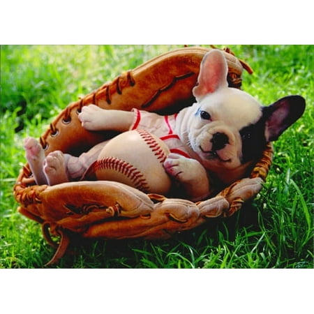 Avanti Press Puppy In Baseball Mitt Funny Dog New Baby Card