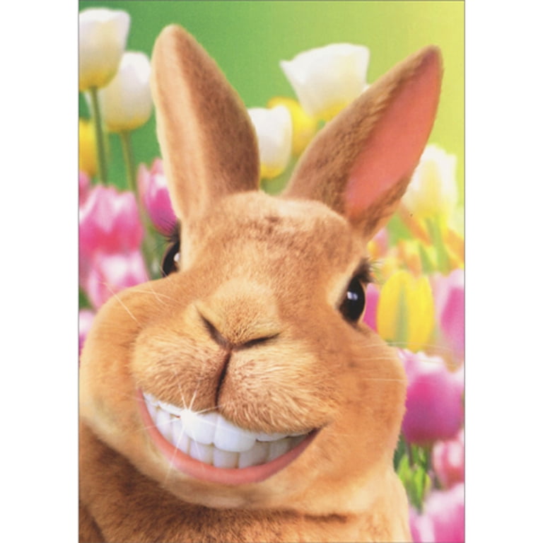 Avanti Press Quirky Bunny Rabbit Showing Off Big Smile with Shiny