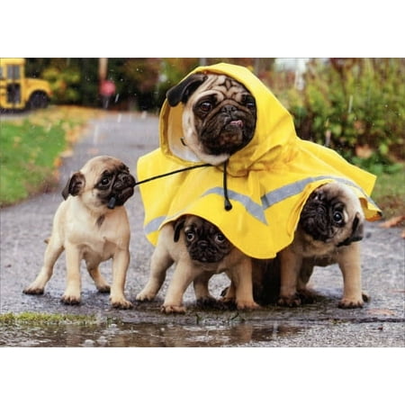 Avanti Press Rain Poncho Pug Mom And Pups Dog Mother's Day Card
