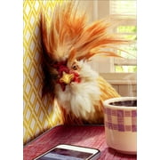 Avanti Press Rooster Hangover Humorous Funny Birthday Card