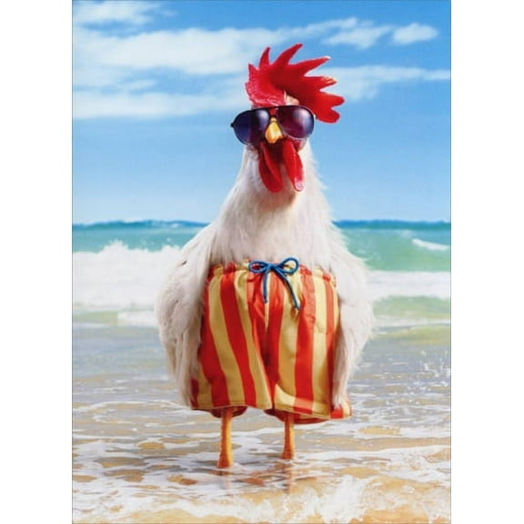 Avanti Press Rooster Wears Swimsuit Funny / Humorous Birthday Card