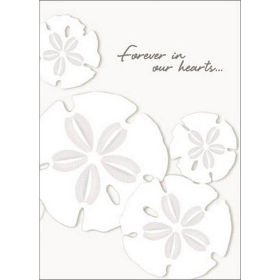 Avanti Press Sand Dollars A*Press Sympathy Card