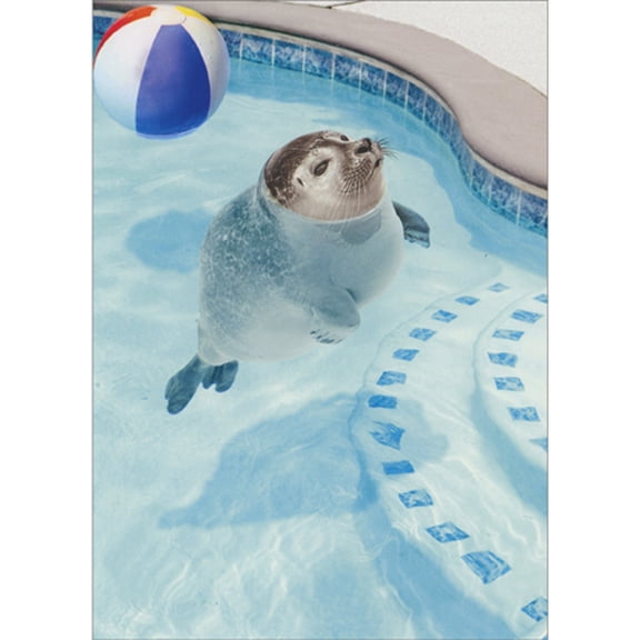 Avanti Press Seal Floating in Swimming Pool with Face Above Water Cute / Funny Friendship Card