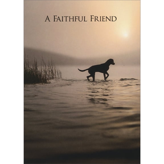 Avanti Press Silhouette of Dog Walking in Water: A Faithful Friend Pet Sympathy Card