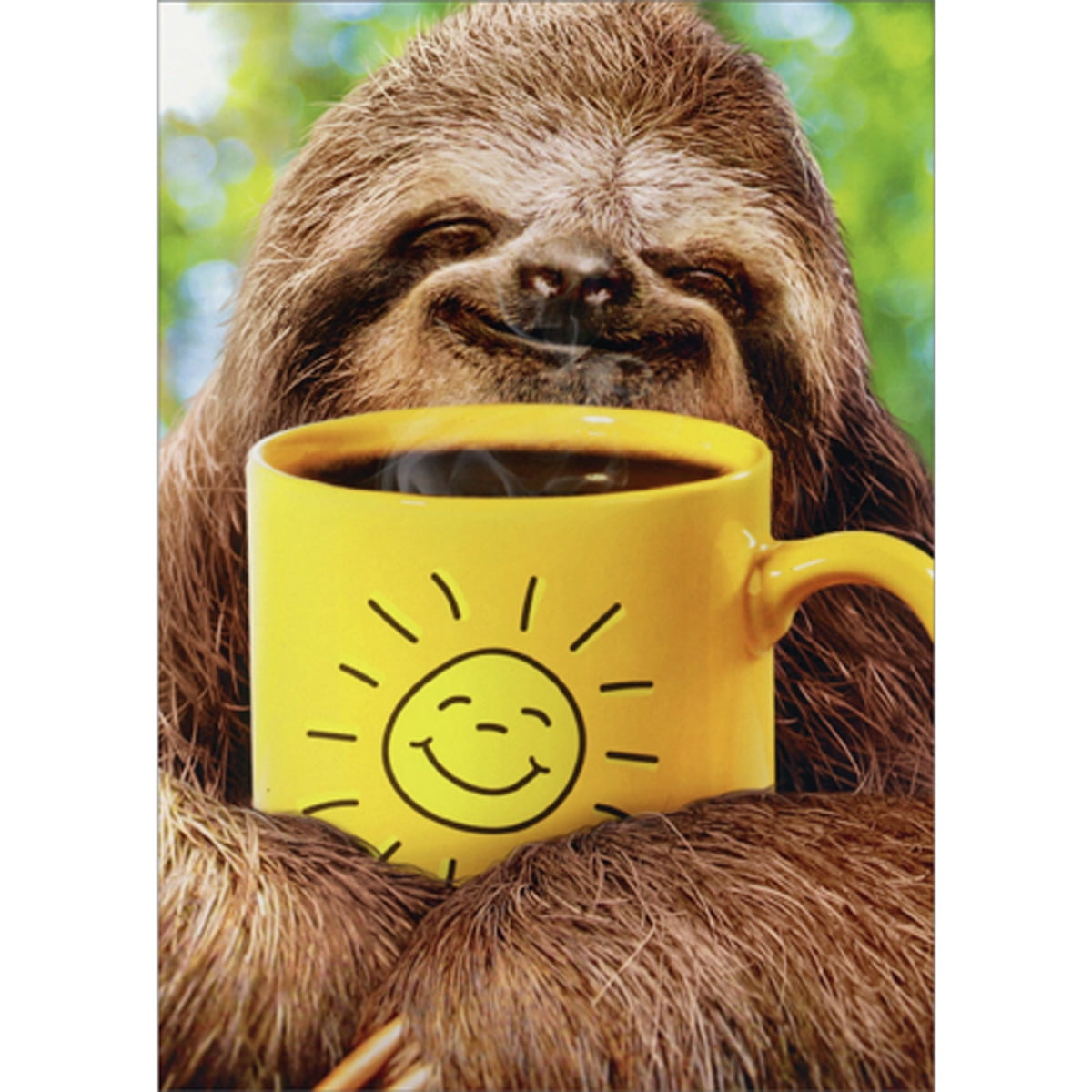 Avanti Press Sloth Holding Yellow Coffee Cup Funny / Humorous Thinking ...