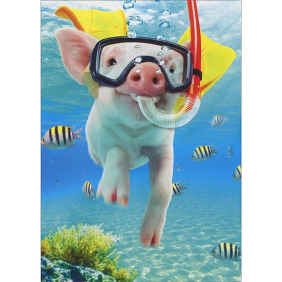 Avanti Press Snorkeling Pig in Tropical Ocean Cute Thank You Card