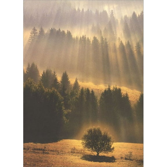 Avanti Press Sunray Forest Sympathy Card