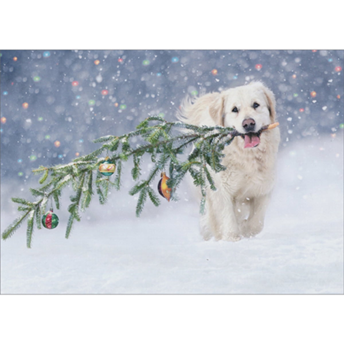 Avanti Press White Dog Carrying Ornament Decorated Branch in Mouth Christmas Card