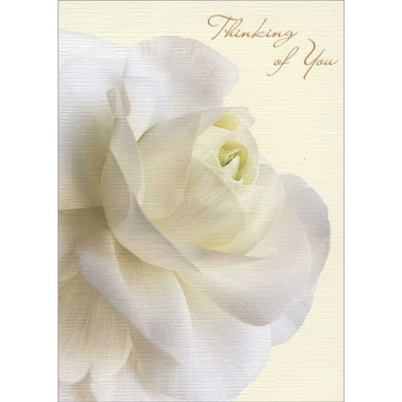 Avanti Press White Ranunculus Flower on Pale Yellow Background Sympathy Card