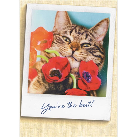 Avanti Press You're the Best: Cat Holding Red Flowers Photograph Thank You Card