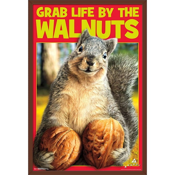 Avanti - Squirrel - Grab Life By The Walnuts Wall Poster, 22.375" x 34", Framed