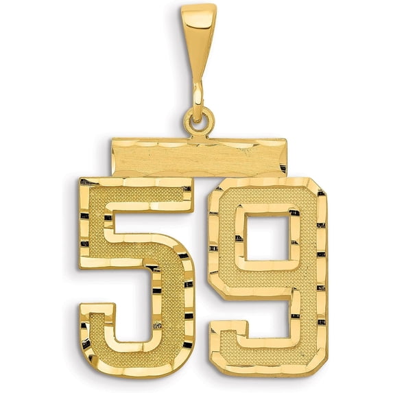 Avariah 14k Yellow Gold Large Brushed Diamond-cut Number 59 Charm
