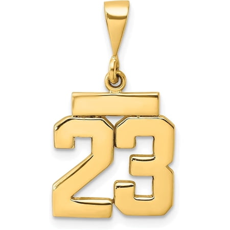 Avariah 14k Yellow Gold Small Polished Number 23 Charm