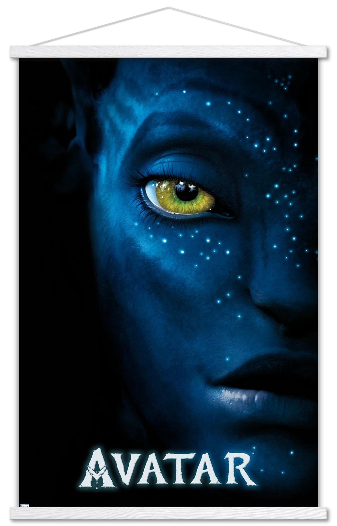 Avatar - Teaser One Sheet Wall Poster with Magnetic Frame, 22.375" x 34"