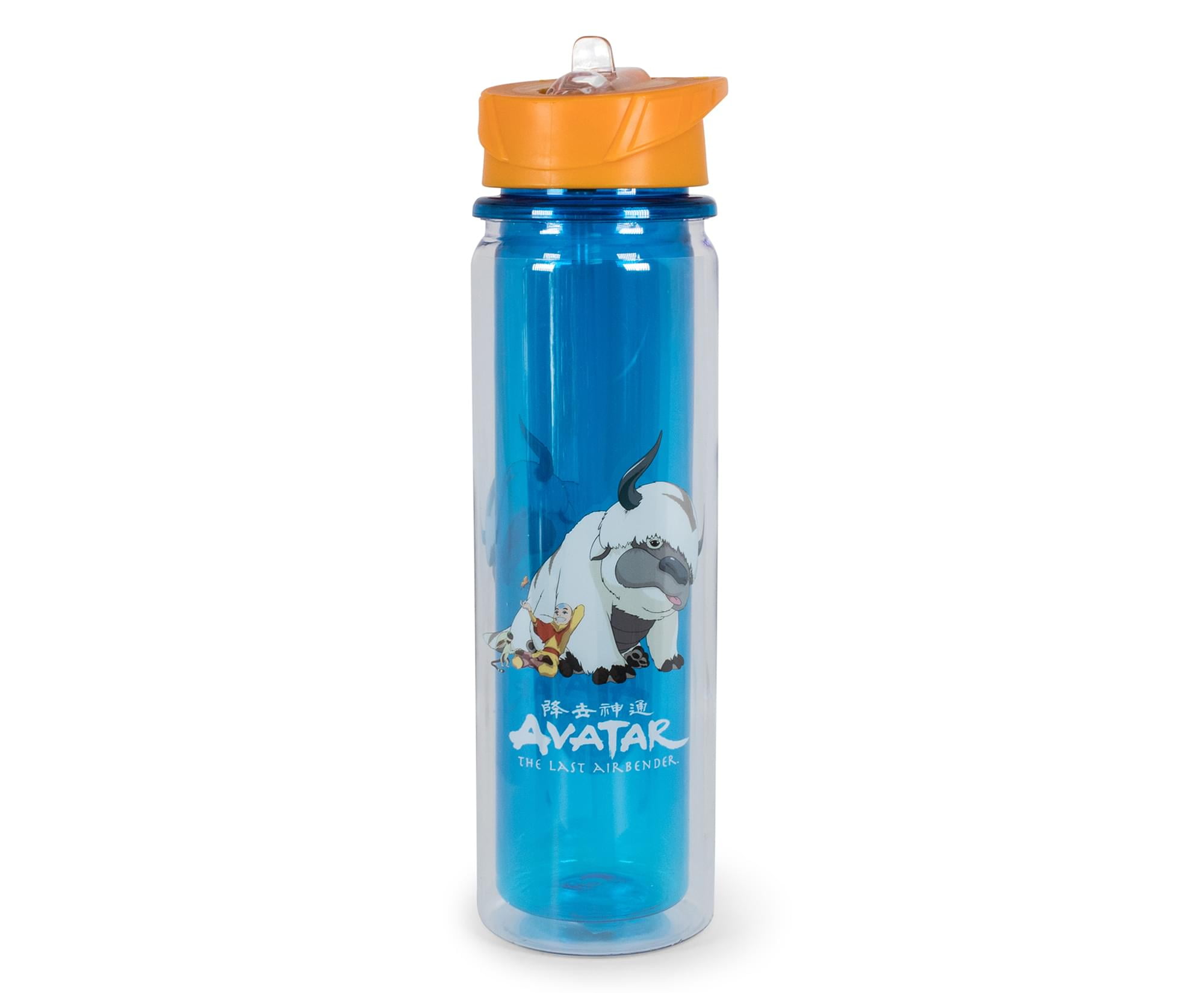 https://i5.walmartimages.com/seo/Avatar-The-Last-Airbender-Aang-and-Appa-Water-Bottle-Holds-16-Ounces_1b97ecbc-38dd-4cbb-aec3-a856a9c24e15.7c7f809b28d3c9fca2cd4a8461c0060a.jpeg