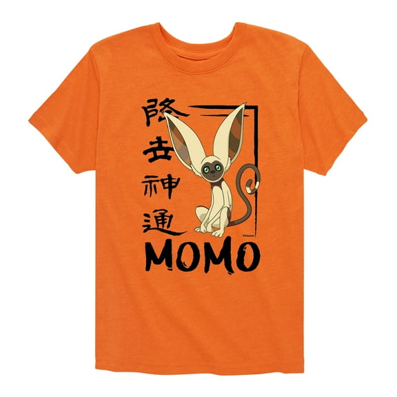 Avatar - The Last Airbender - Momo Cute - Kids YOUTH SHORT SLEEVE TEE