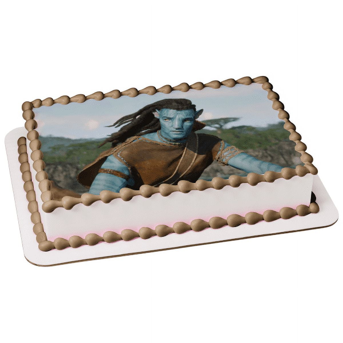 My most recent Avatar cake! : r/Avatar