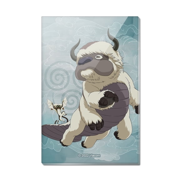 Avatar the Last Airbender Appa & Momo Rectangle Acrylic Fridge Refrigerator Magnet