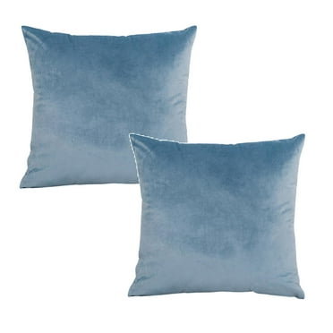 Avdjesfny Velvet Pillow Covers 2Pcs Decorative Velvet Throw Pillow Covers Soft Square Pillowcase Cushion Cover for Couch Sofa Home Decoration 24x24 Blue
