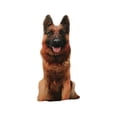 thumbnail image 1 of Avdolw Dogs-Themed Outdoor Terrace Decorative Pillows, Soft and Comfortable Bedside Car Cushions with Inner Core, Ideal for Beach, Pool, Courtyard, Swing, and Recliner, Machine Washable, 1 of 4