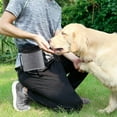 thumbnail image 1 of Avdolw Outdoor Pet Snack Bag, Dog Food Storage & Training Pouch with Reflective Strip, Multi-Functional Walking Accessory (Gray/Pink/Blue), 1 of 6