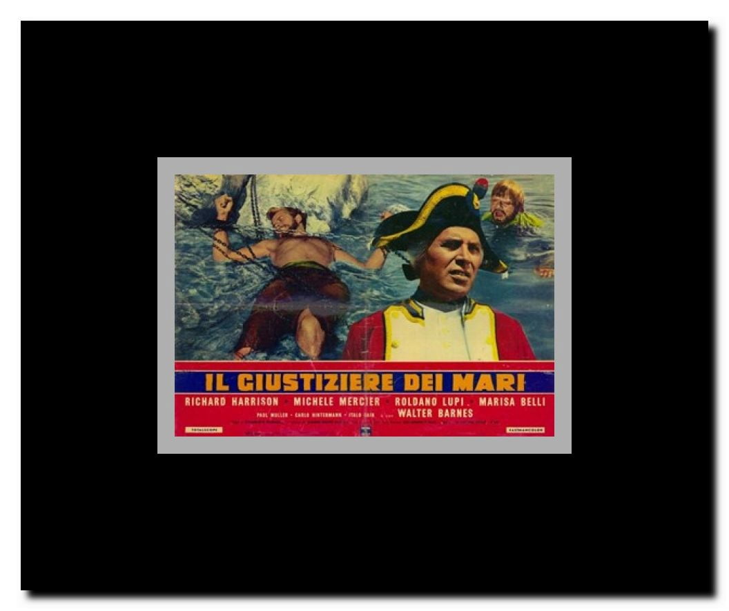 Avenger of the Seven Seas Framed Movie Poster