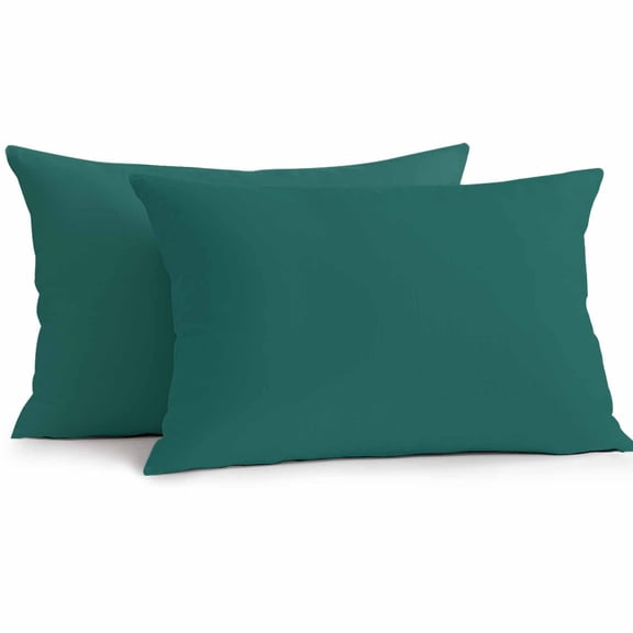 Aventurine Outdoor Pillow Covers Pack of 2 Emerald Green Solid Color Waterproof Throw Pillow Covers Decorative Cushion Cases for Patio Garden Tent Balcony Couch 20x12 inch