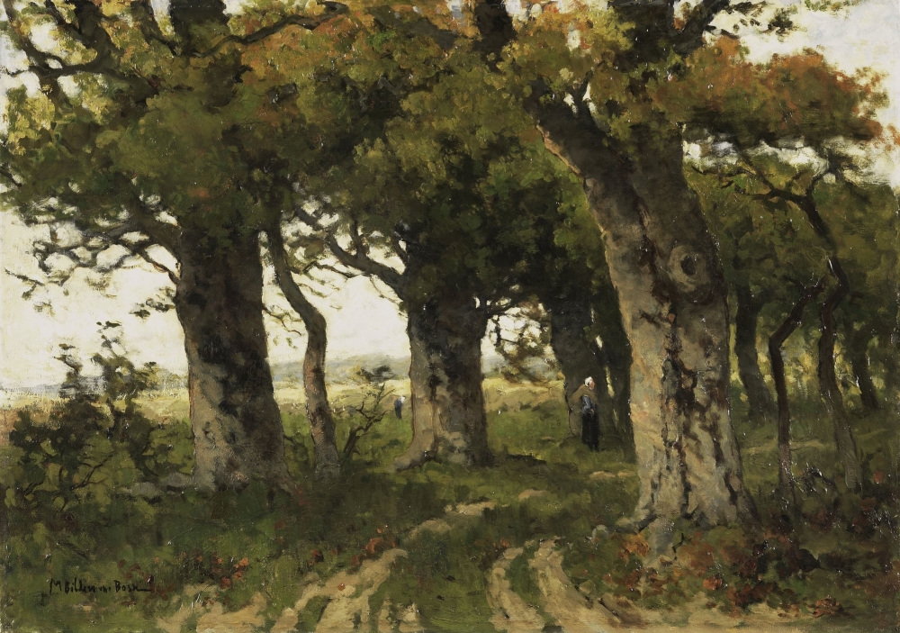 Avenue Of Oaks In Late Summer Canvas Art - (36 x 24)