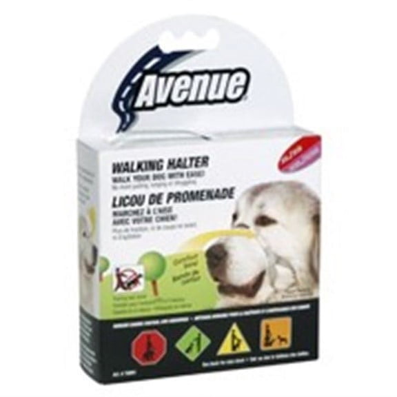 Avenue Training Walking Halter, Large.
