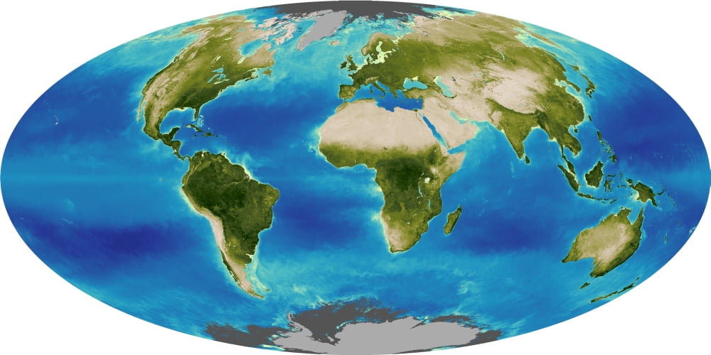 Average plant growth of the Earth Canvas Art - Stocktrek Images (40 x 20)