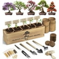 thumbnail image 1 of Avergo Bonsai Tree Kit - 5X MVR1&nbsp;Unique Japanese Bonzai Trees | Complete Indoor Starter Kit for Growing Bonsai Plants with Tools & Planters - Gardening Gifts for Women & Men, 1 of 3