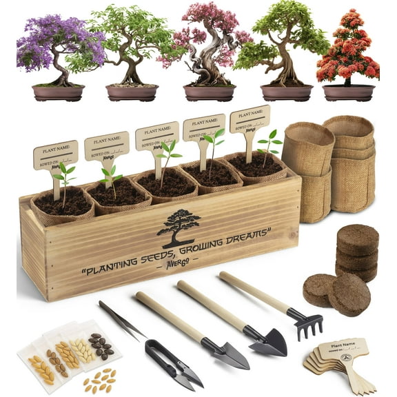 Avergo Bonsai Tree Kit - 5X MVR1Unique Japanese Bonzai Trees | Complete Indoor Starter Kit for Growing Bonsai Plants with Tools & Planters - Gardening Gifts for Women & Men