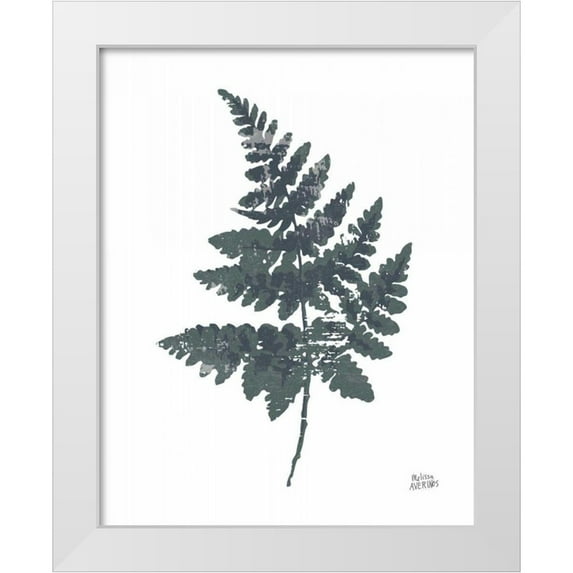 Averinos, Melissa 12x14 White Modern Wood Framed Museum Art Print Titled - Fern II