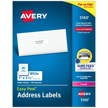 Avery Address Labels, 1" x 2-5/8", Paper, Matte White, Laser, Sure Feed, 3000 Labels (5160)