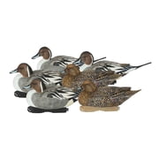 Avery/GHG GHG Pro-Grade XD Series Pintail Harvester Duck Decoys, 6 Pack