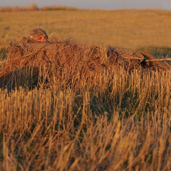 Avery Killer Weed Layout Blind Kit Grain 47405