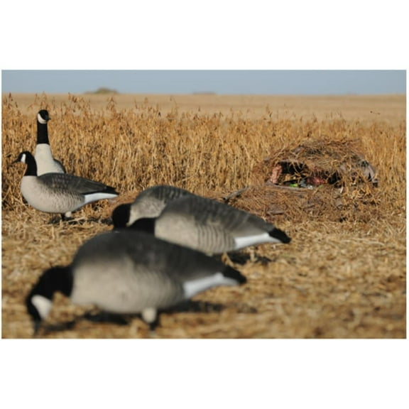 Avery KillerWeed Blind Grass Grain