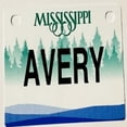 thumbnail image 1 of Avery Mini Bike Plate Add On Accessory, 1 of 1